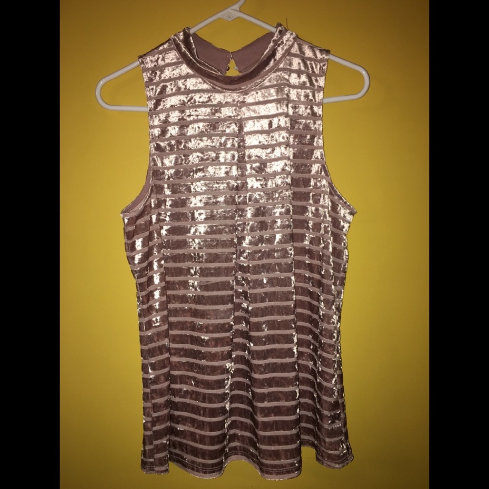 Women’s crushed velvet sheer stripe beige top sz L